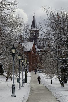 a person walking down a snow covered path in front of a building with a clock tower