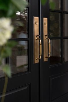 two black double doors with gold handles and sidelights on the front of a house