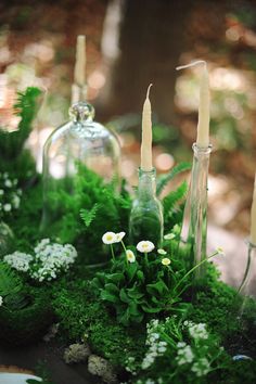 an arrangement of candles, moss and flowers in glass vases on a wooden table