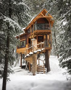 a tree house in the snow surrounded by trees