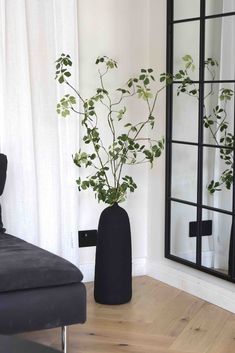 a plant in a black vase next to a mirror