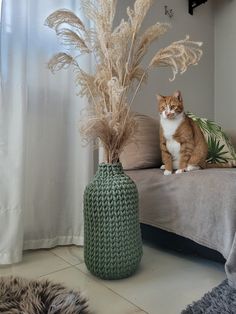 a cat sitting on top of a couch next to a vase filled with dry grass