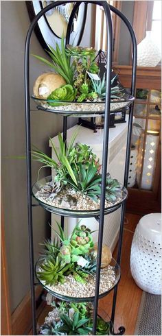 three tiered plant stand with succulents and plants on the bottom shelf