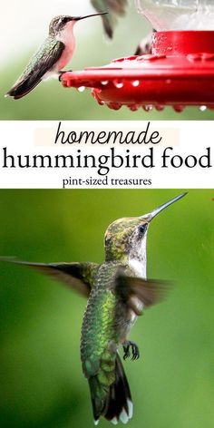 a hummingbird flying towards a red bird feeder with text overlay reading homemade hummingbird food pin - sized treasures