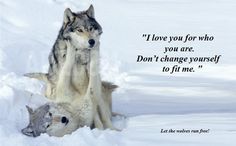 two wolfs sitting in the snow with a quote above them that says, i love you for who you are don't change yourself to fit me