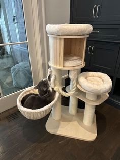 a cat laying in its bed on the floor next to some scratching posts and furniture