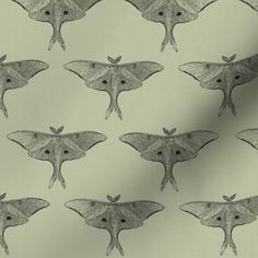 a close up of a pattern of moths on a light green background with black ink