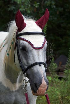 a white horse wearing a red and white blinder with horns on it's head