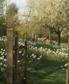 an open gate leading to a lush green field with white flowers and trees in the background