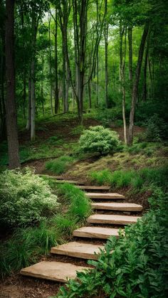 a wooden staircase in the middle of a forest