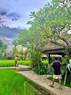 two people are standing in front of a lush green rice field with a hut on the other side