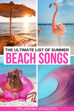 the ultimate list of summer beach songs with pictures of flamingos, umbrellas and chairs