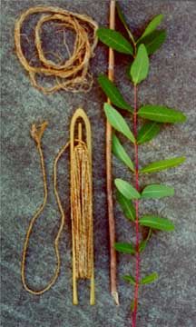 various items are laid out on the ground to be used in crafts or as decoration