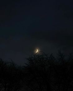 the moon is seen through some trees at night