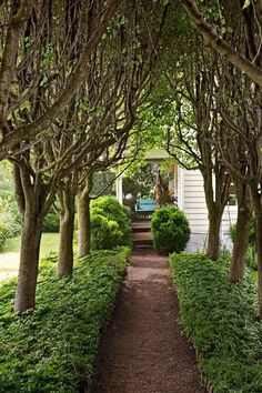 a path between trees and bushes leading to a house