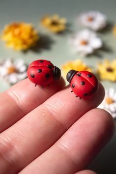 two tiny ladybugs sitting on top of each other in front of daisies