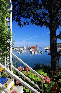 the stairs lead down to the water and boats in the harbor behind them are trees