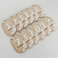 six wooden tags with flowers and numbers for the year 2012 - 2013 on white background