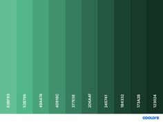 the color green is shown in this image, and it has many different shades to choose from