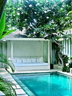 a pool with a couch next to it in the middle of a yard and surrounded by greenery