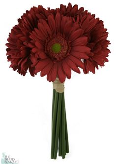 a large red flower with green stems in it's center is on a white background