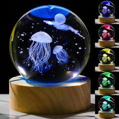 a glass ball with jellyfish in it on top of a wooden base and four different colors