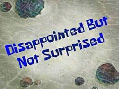 the words disappointed but not surprised are written in blue ink on a white background with rocks and pebbles