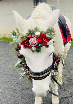 a white horse wearing a christmas wreath on its head and bridle with poins