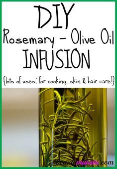 Infused Oil Recipes, Herb Infused Olive Oil, Rosemary For Hair, Rosemary Olive Oil, Coconut Oil Shampoo, Olive Oil Benefits, Oil Infusion, Olive Oil Hair, Rosemary Plant