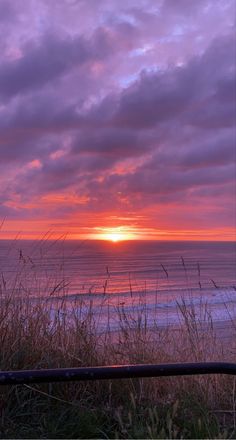 the sun is setting over the ocean with tall grass