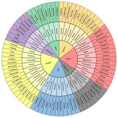 a wheel chart with different types of words on it and the names in each section