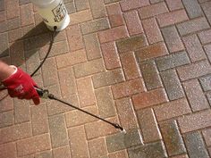 a person is holding an umbrella on the ground with a fire hydrant in the background