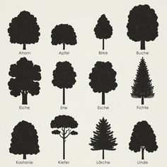 different types of trees are shown in black and white, with the names below them