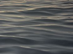 the water is very wavy and it looks like they are floating in the ocean or on land