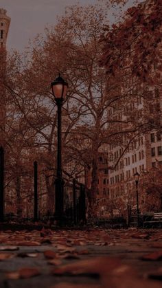 a street light sitting in the middle of a leaf covered park next to tall buildings