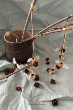 some branches with flowers and pine cones hanging from them on a white sheeted surface