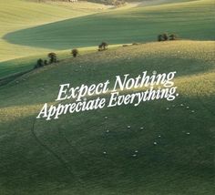 the words expect nothing appreciate everything written in white on a green field with sheep grazing