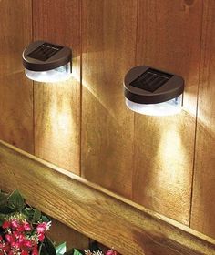 two lights on the side of a wooden wall next to flowers and potted plants