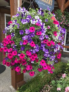 purple and white petunias hanging from a wooden post in front of a flower shop