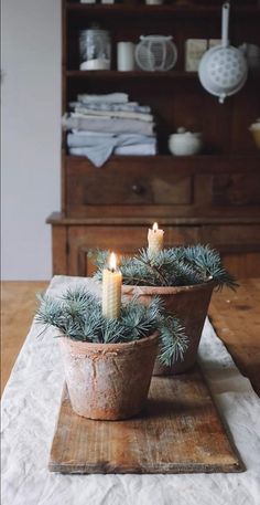 two potted plants sitting on top of a wooden table next to a lit candle