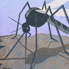 a drawing of a mosquito on the ground