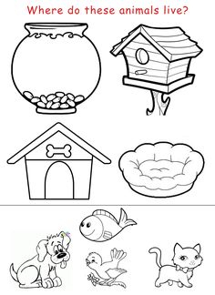 a coloring page with different animals and their homes for children to color, which includes the words where do these animals live?