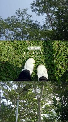 two pairs of white shoes sitting on top of a green plant covered street light pole