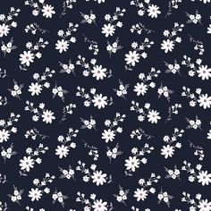 white daisies on a dark blue background, with small flowers in the center and bottom right corner