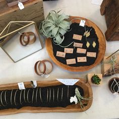 an assortment of plants and jewelry on display