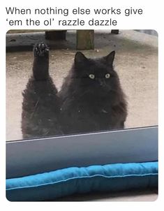 a black cat sitting in front of a window with the caption, when nothing else works give'em the o'razzle dazzle dazzle