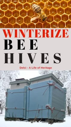 a beehive with the words winterize bees hives in front of it