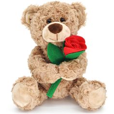 a brown teddy bear holding a red rose