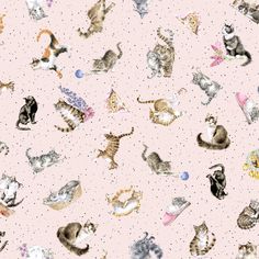 a pink background with cats and kittens all on it's own surface,