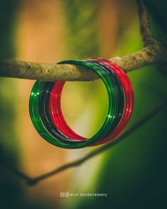 two rings are hanging from a tree branch with green and red lights in the background